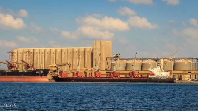 ميناء دمياط يستقبل سفينة قادمة من روسيا مُحملة بـ33 ألف طن قمح
