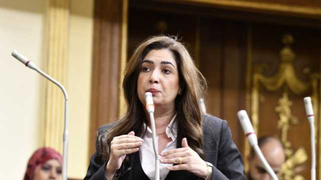 النائبة أميرة العادلي: مشروع قانون نقابة التكنولوجيين «مفصل لفئات محددة»