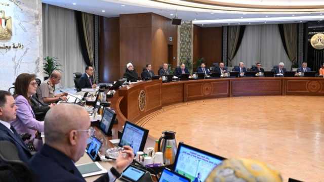 «إكسترا نيوز»: محمد إبراهيم أحمد شيمي وزيرا لقطاع الأعمال 