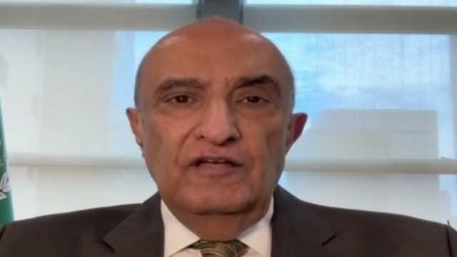 بعثة الجامعة العربية لدى الأمم المتحدة: العالم يعيد النظر في القضية الفلسطينية