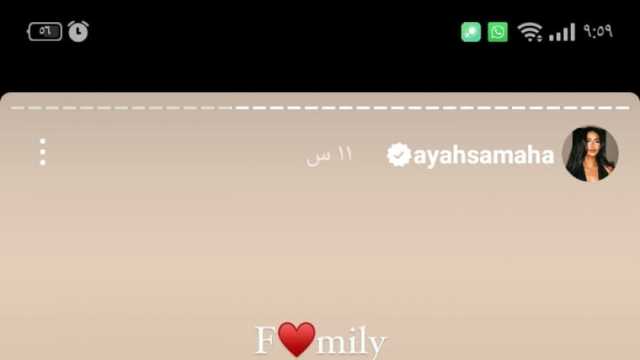 آية سماحة تحتفل مع عائلتها بنجاح مسلسل عمر أفندي (صور)