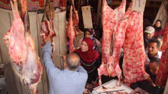 كيلو اللحمة بـ250 جنيها في منافذ التموين بتخفيضات 30%