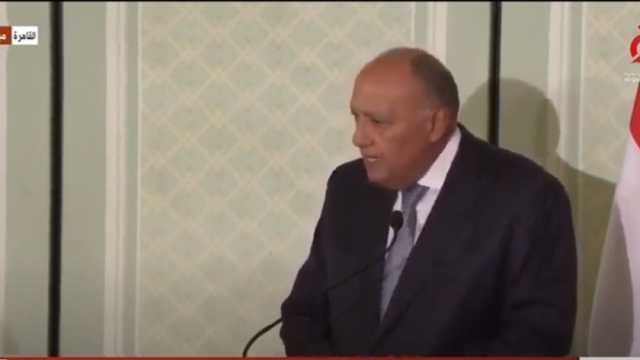 سامح شكري يؤكد لوزير الخارجية الأمريكي مخاطر توسيع رقعة الصراع في المنطقة