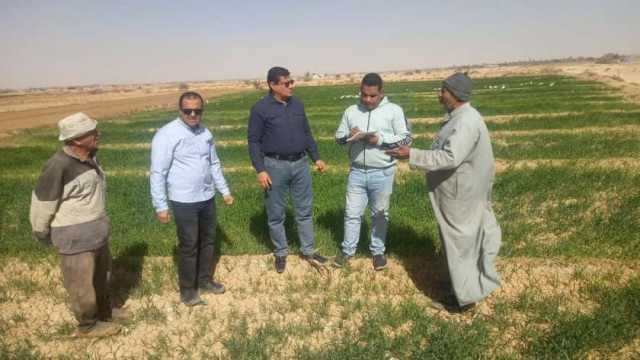 «بحوث الصحراء» ينظم قوافل إرشادية لمزراعي القمح بالوادي الجديد