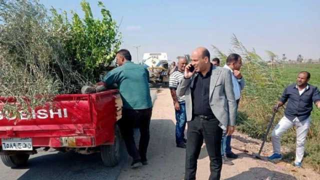 زراعة 200 شجرة مثمرة بمركز طهطا في سوهاج