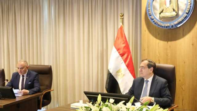«البترول»: لدينا العديد من الأعمال مع شركائنا في الخليج وإفريقيا