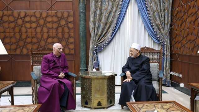 شيخ الأزهر: قلوبنا تكاد تنفطر جراء ما أصاب إخواننا في غزة