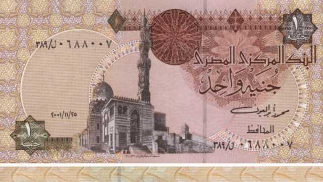 سعر الجنيه المصري اليوم الخميس 1-2-2024 أمام عملات البريكس