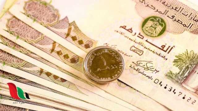 سعر الدرهم الإماراتي مقابل الجنيه المصري في البنوك اليوم الثلاثاء 13-2-2024