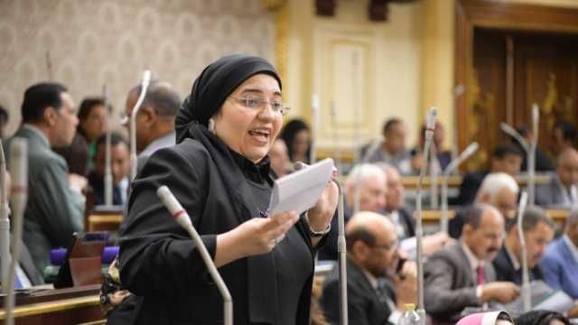 نائبة: إنشاء المجلس الوطني للتعليم يسهم في بناء الشخصية المصرية