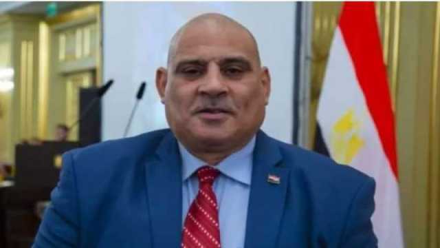 رئيس الجالية المصرية بروسيا: البعثة الدبلوماسية ساهمت في نجاح الانتخابات