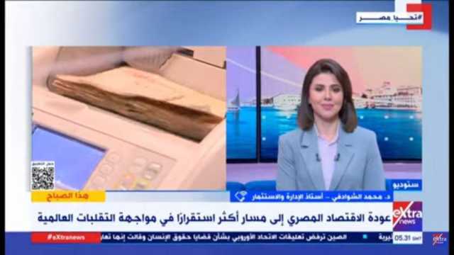 أستاذ إدارة واستثمار: تحسن المؤشرات المالية يعكس جهود مصر الاقتصادية