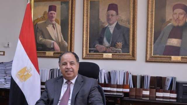 عاجل.. «المالية»: تعليق قرار إنشاء سجل للمحاسبين المتعاملين مع الضرائب