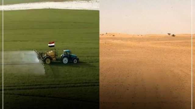 خبير اقتصادي: «مستقبل مصر» خطوة مهمة لتحقيق الاكتفاء الذاتي من المحاصيل