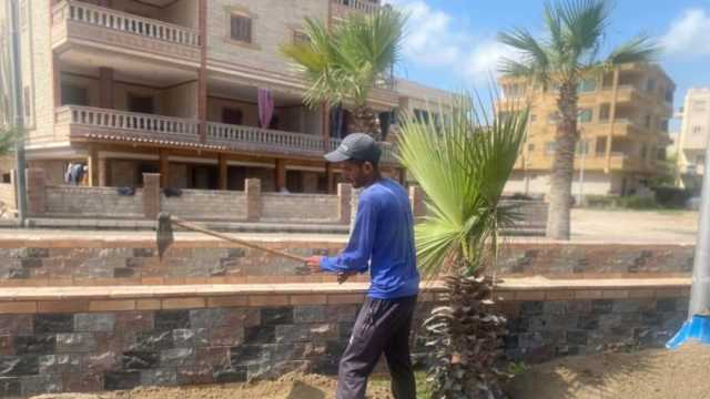 زراعة جانبي الطريق الرئيسي في مصيف بلطيم بالنجيل الطبيعي