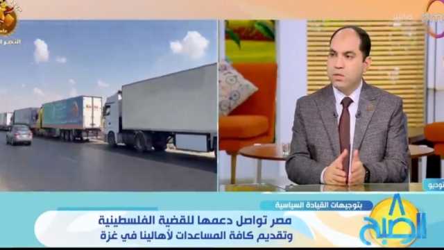 برلماني: الموقف المصري واضح وداعم للقضية الفلسطينية