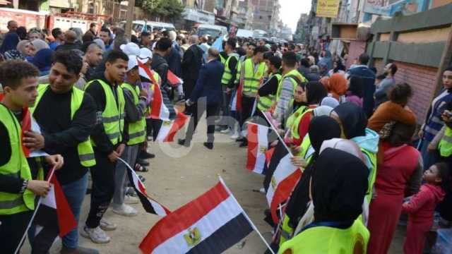 محلل سياسي: لجان المغتربين سهلت التصويت على 10 ملايين مواطن