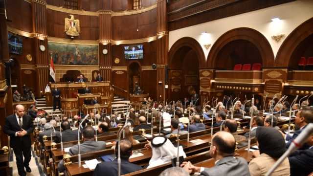 برلمانية «حماة الوطن»: يجب أن تسهم الألعاب الإلكترونية في النمو الاقتصادي