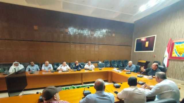 انطلاق مهرجان الهجن في العريش السبت المقبل.. أنشطة فنية ورياضية