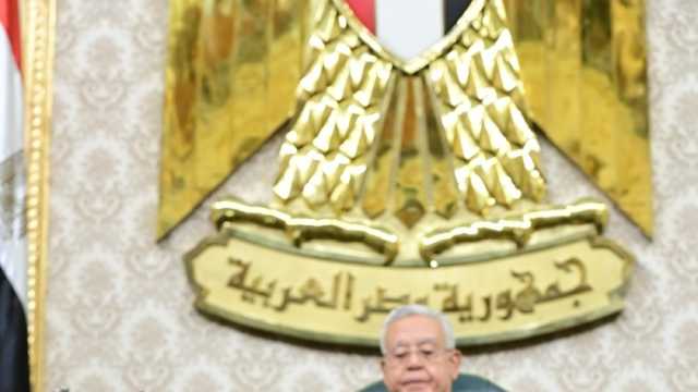 البرلمان يناقش قانوني الوكالة المصرية لضمان الصادرات والاستثمار غدا