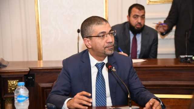 برلماني: مرافعة مصر أمام «العدل الدولية» جزء أصيل من دعمها للشعب الفلسطيني
