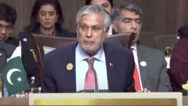 نائب رئيس وزراء باكستان: إسرائيل لا تلتزم بالقرارات الدولية وجرائمها مستمرة