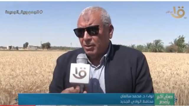 محافظ الوادي الجديد عن موسم حصاد القمح: توقعات بإنتاج 950 ألف طن في 2024