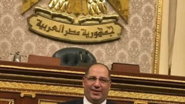 برلماني: مصر وفرنسا تعملان على دعم وصون الأمن والاستقرار في الشرق الأوسط