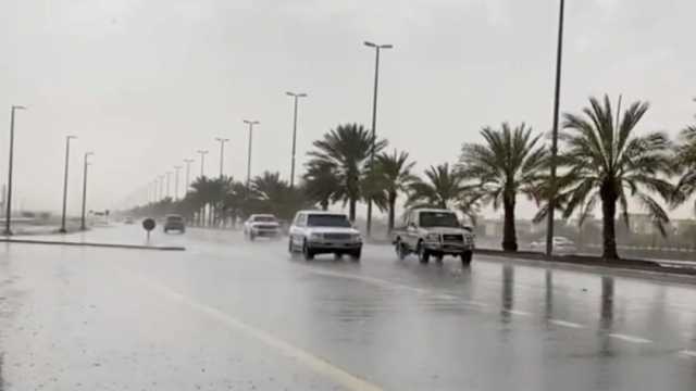 حالة الطقس اليوم.. تساقط أمطار خفيفة على القاهرة والوجه البحري