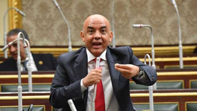 نائب: المناطق الحرة تدعم الاقتصاد القومي وتوفر أكثر من 100ألف فرصة عمل