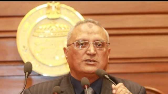 برلماني: الشعب المصري حدد شكل المستقبل من خلال مشاركته بالانتخابات