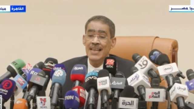 ضياء رشوان: الوضع الإنساني الكارثي وسياسة العقاب الجماعي بغزة يشغل مصر بشدة