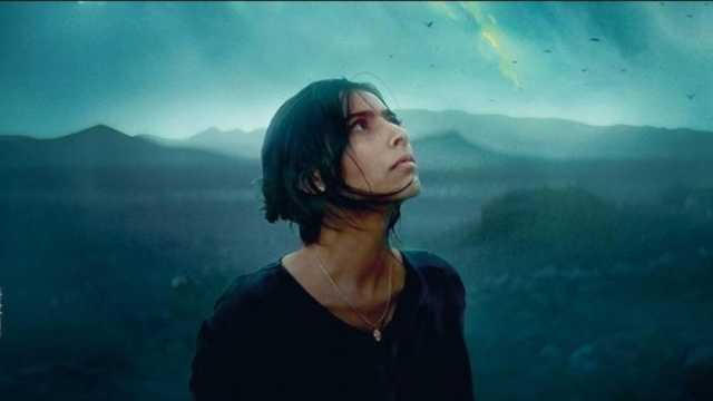 سينما زاوية تبدأ عرض فيلم Animalia ضمن فعاليات أيام القاهرة السينمائية