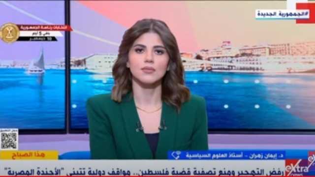 أستاذ علوم سياسية: موقف مصر تجاه القضية الفلسطينية ثابت
