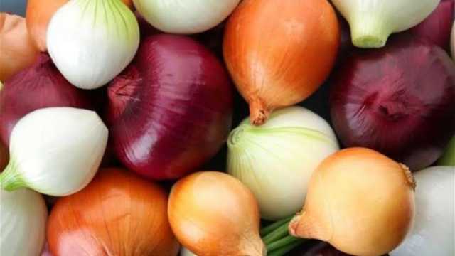 ماذا يحدث لجسمك عند تناول البصل يوميا على الريق؟.. نتائج مذهلة