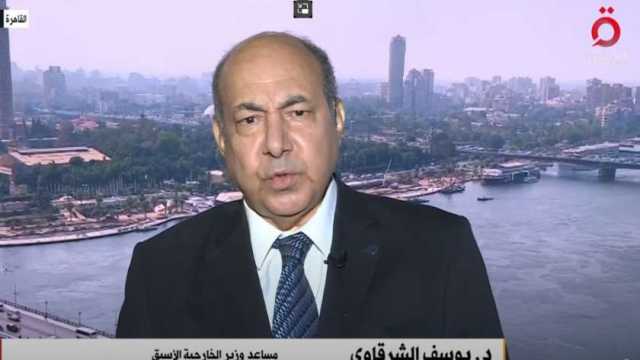 دبلوماسي سابق: الحديث عن التهدئة في لبنان الغرض منه التمهيد للانتخابات الأمريكية