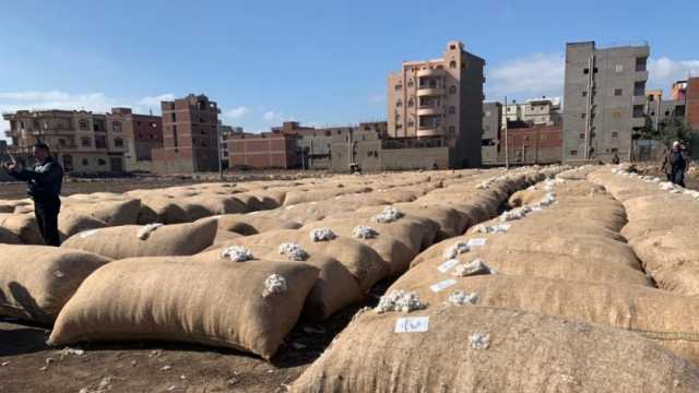 «الزراعة»: السعر المعلن للقطن ليس نهائيا.. ونتابع الأسواق العالمية