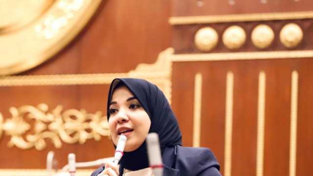 عضو بـ«الشيوخ»: الحكومة الجديدة حريصة على توسيع مظلة الحماية الاجتماعية