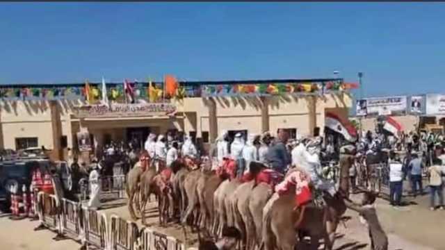 بدء أولى فعاليات سباقات الهجن بشمال سيناء