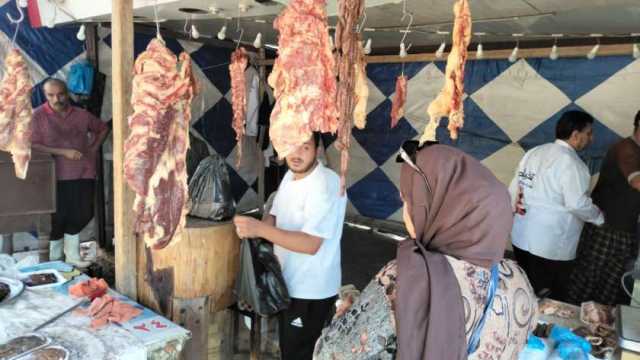 بـ260 جنيها.. 7 منافذ و12 سيارة متنقلة لبيع اللحوم بأسعار مخفضة بالدقهلية