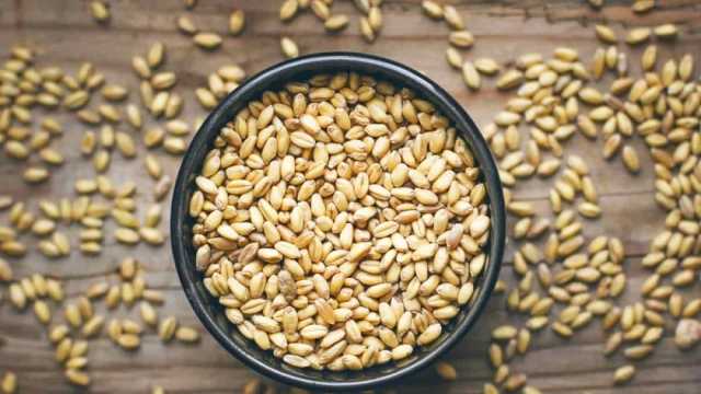 طريقة عمل البليلة القمح دون لبن في البيت.. فوائد صحية عديدة