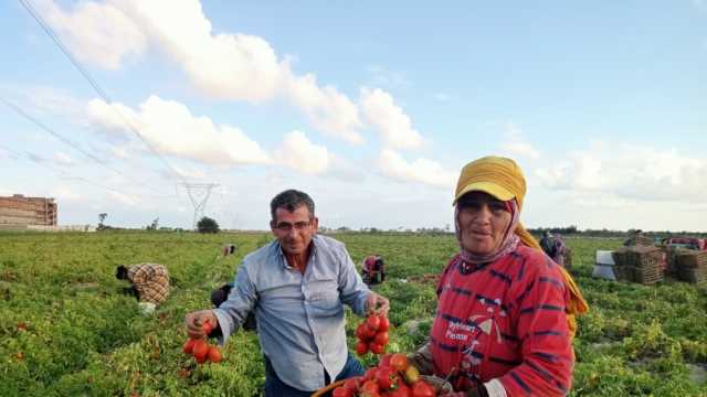 أرخص أماكن بيع الخضروات والفاكهة في كفر الشيخ.. «كله بـ4 جنيهات»