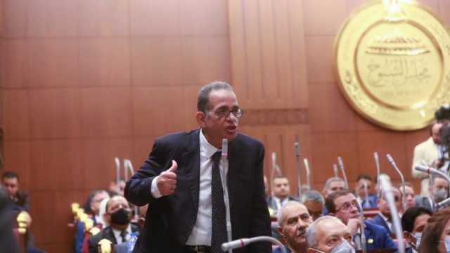 عضو بـ«الشيوخ»: الرئيس السيسي بعث رسائل طمأنينة للمصريين