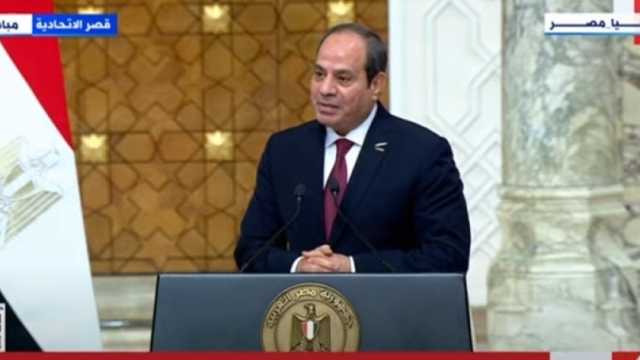 10 سنوات تحد وبناء.. كيف سهل الرئيس السيسي التواصل مع المصريين بالخارج؟