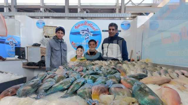 أسعار السمك اليوم السبت 11-5-2024 في الأسواق.. الفيليه بـ152 جنيها