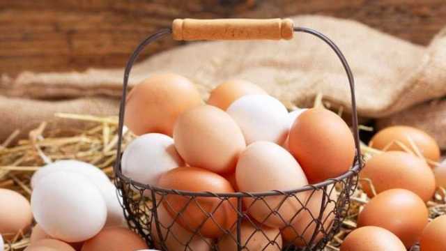 سعر كرتونة البيض في الأسواق اليوم السبت 18-5-2024