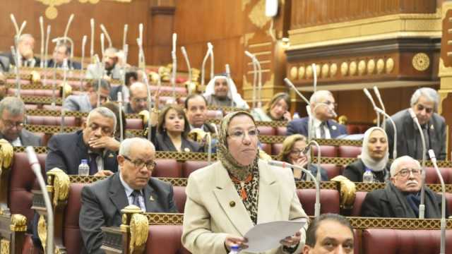 نائبة تشيد باحتفالية اتحاد القبائل العربية: المصريون قادرون على عبور التحديات