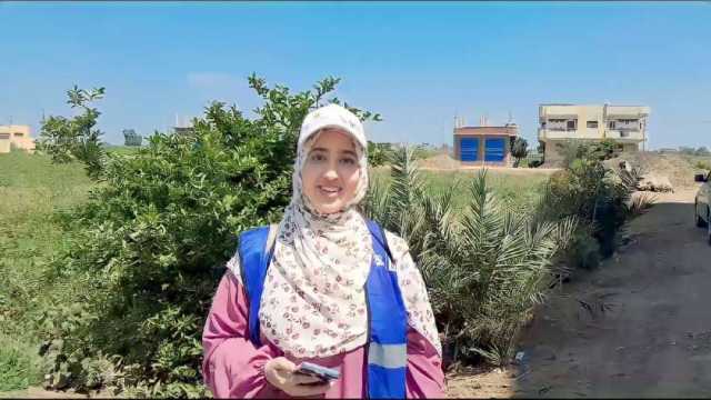 متطوعو «صناع الحياة»: مهمتنا حصر البيانات ومساعدة الأسر