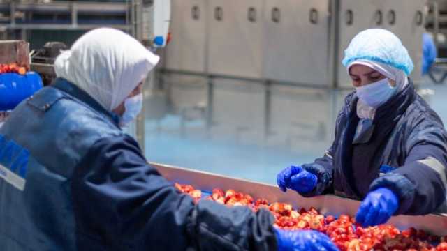 «الزراعة»: مصر الأولى عالميا في تصدير الفراولة المجمدة