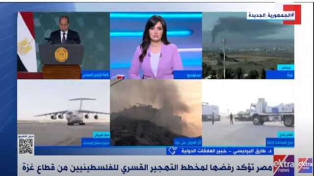 خبير علاقات دولية: الشعب الفلسطيني يصر على البقاء في أرضه رغم العدوان الغاشم